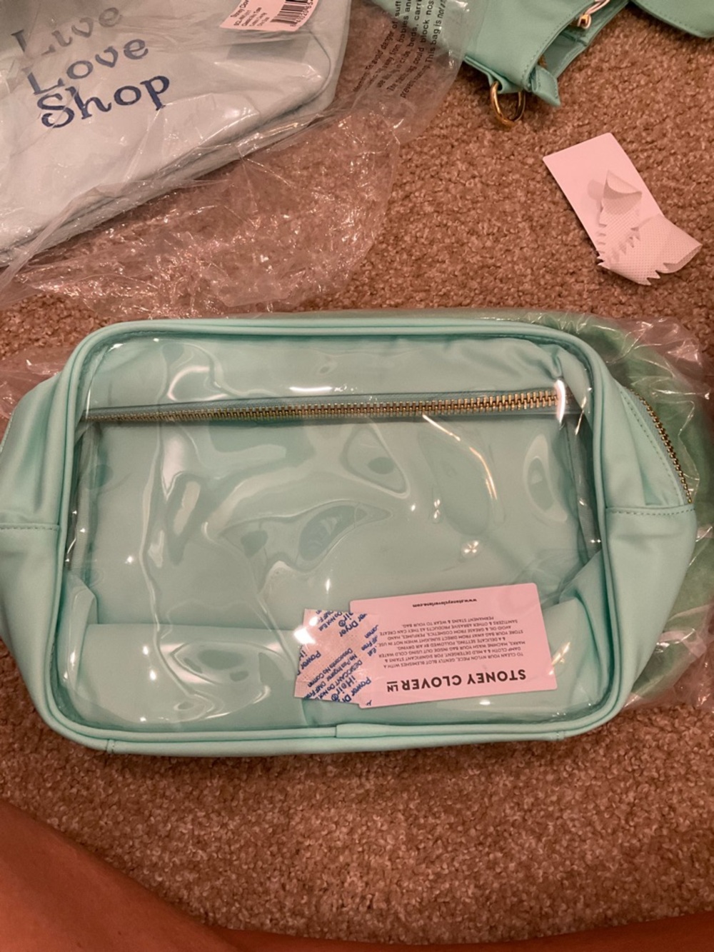 Stoney Clover Lane Mint Clear Front Crossbody Bag with Gold Zipper